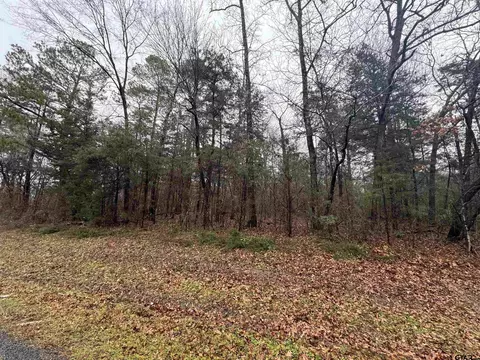 0 Fm 856, Troup, TX 75789