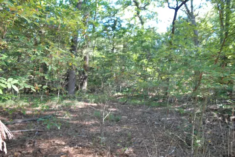 000 Fm 1615, Athens, TX 75752