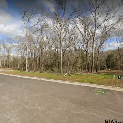 2406 Wilderness Cv, Tyler, TX 75703