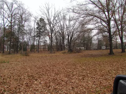 tbd Cr 1516, Alba, TX 75410