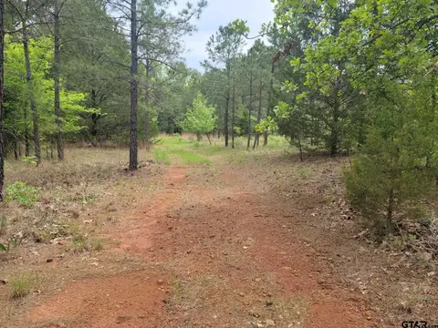 tbd N Fm 250, Hughes Springs, TX 75656