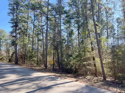 tbd Cr 4550, Winnsboro, TX 75494