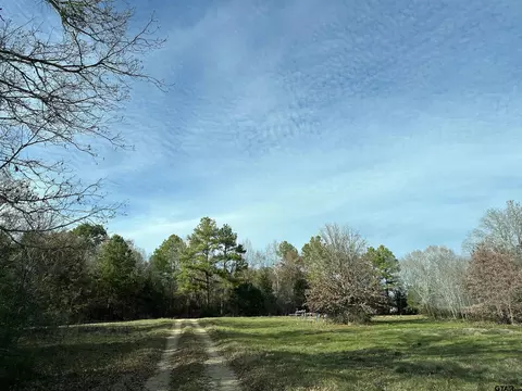 19290 Cr 2153, Troup, TX 75789