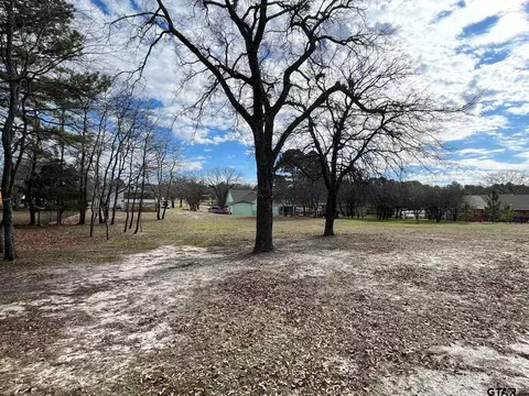 lot159 Pagosa Ln, Holly Lake Ranch, TX 75765