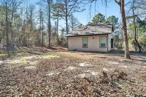 252 Pine Rdg, Murchison, TX 75778 photo 22