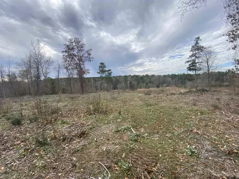 tbd Cr 2215 #LOT 8, Jacksonville, TX 75766