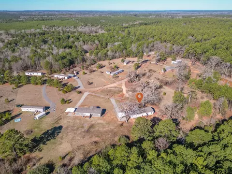 674 Law Rd, Harleton, TX 75651 photo 33