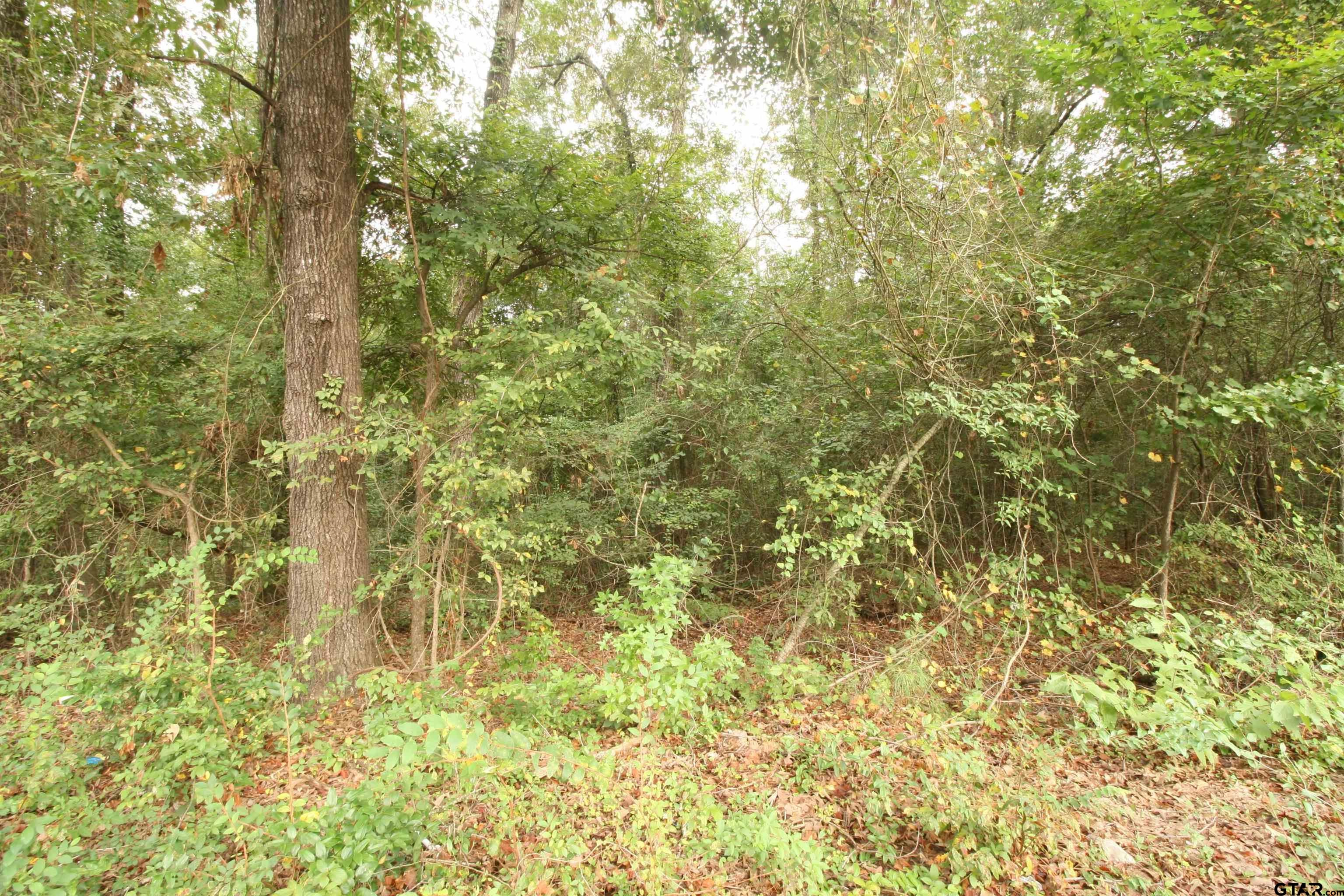Lot 293 Eastwood Dr  