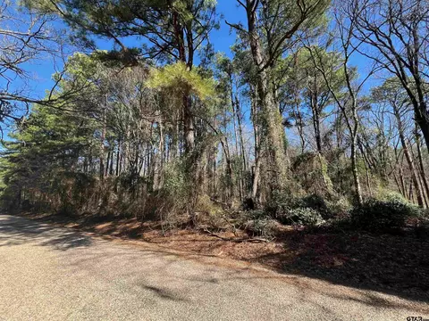 tbd Cr 2314, Pittsburg, TX 75686