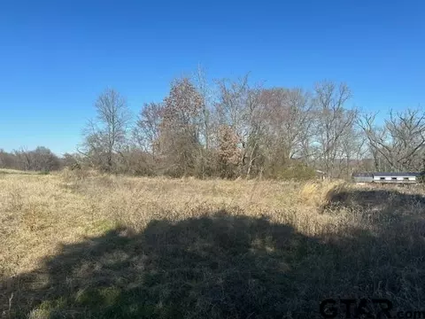 lot4 Cr 2724, Mineola, TX 75773