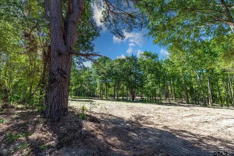 3136 N Fm 346 #LOT 5, Bullard, TX 75757