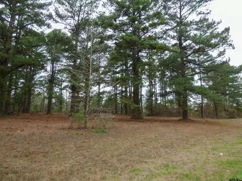 tbd Fm 2348, Mount Pleasant, TX 75455