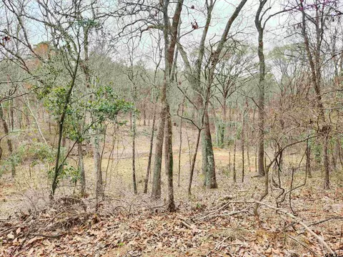 tbd Cr 4125, Lindale, TX 75771