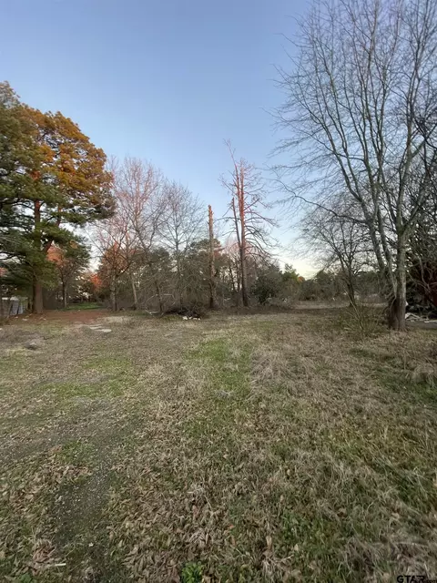 13168 Teeber Trl, Winona, TX 75792