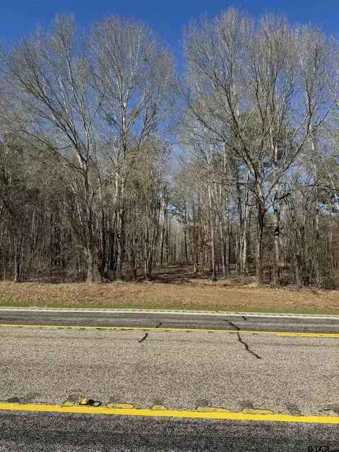 tbd W Tract Us Hwy 79 E, New Summerfield, TX 75780