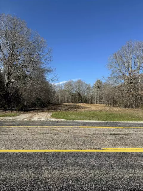 tbd E Tract Us Hwy 79 E, New Summerfield, TX 75780
