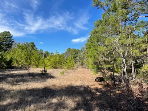 tbd Persimmon Rd, Big Sandy, TX 75755