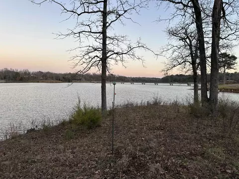 tbd Cr 2317, Pittsburg, TX 75686