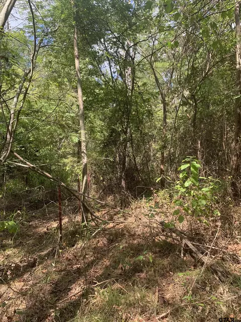 tbd County Road 3906, Troup, TX 75789