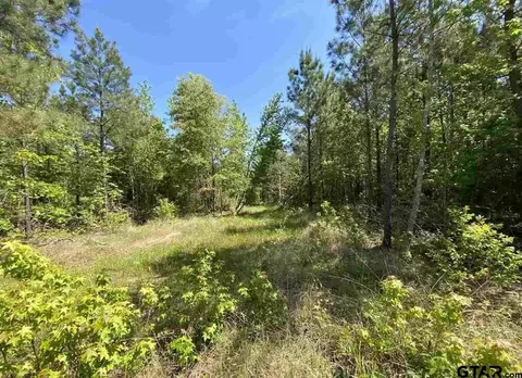 18825 Fm 729, Lone Star, TX 75668