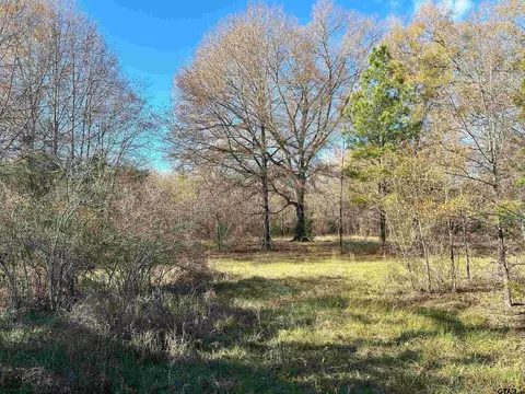 17507 Cr 196, Flint, TX 75762