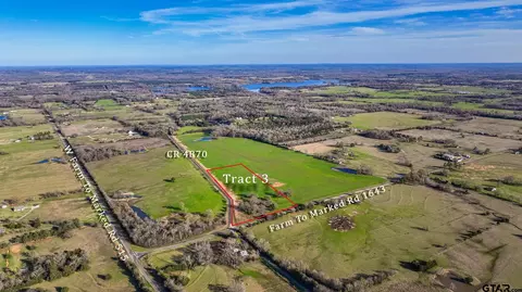 Tract #3 Cr 4870, Winnsboro, TX 75494