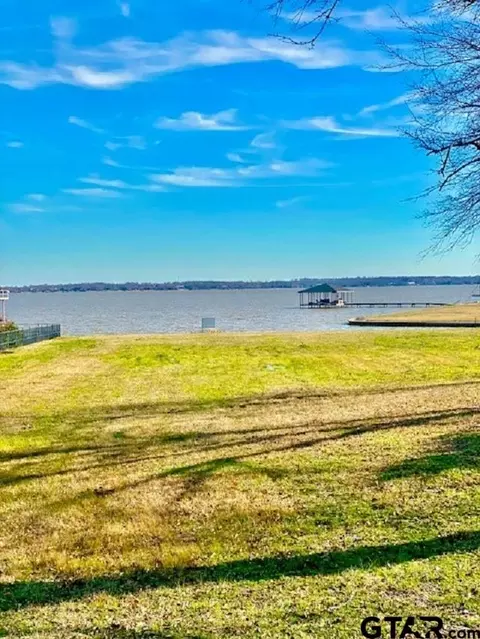 217 Cape Shore Dr, Kemp, TX 75143