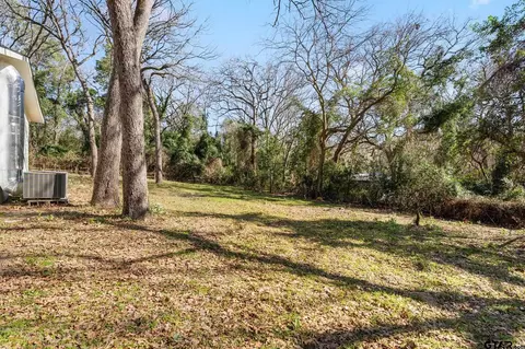 372 Long Shadow Dr, Murchison, TX 75778 photo 29