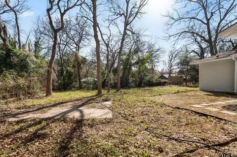 372 Long Shadow Dr, Murchison, TX 75778 photo 30