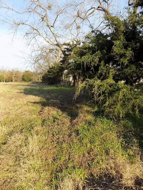 tbd Rains County Road 3410, Emory, TX 75440