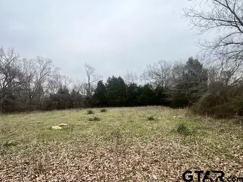 11230 Fm 317, Murchison, TX 75778