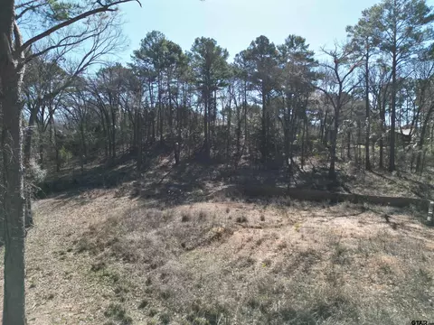 17839 17831 Habor Ln, Flint, TX 75762