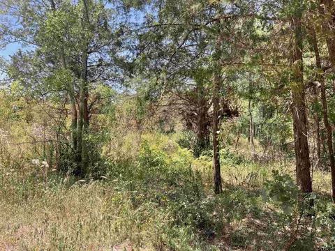 1001 Brazos, Bullard, TX 75757