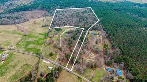 13600 Smilax Rd, Diana, TX 75640