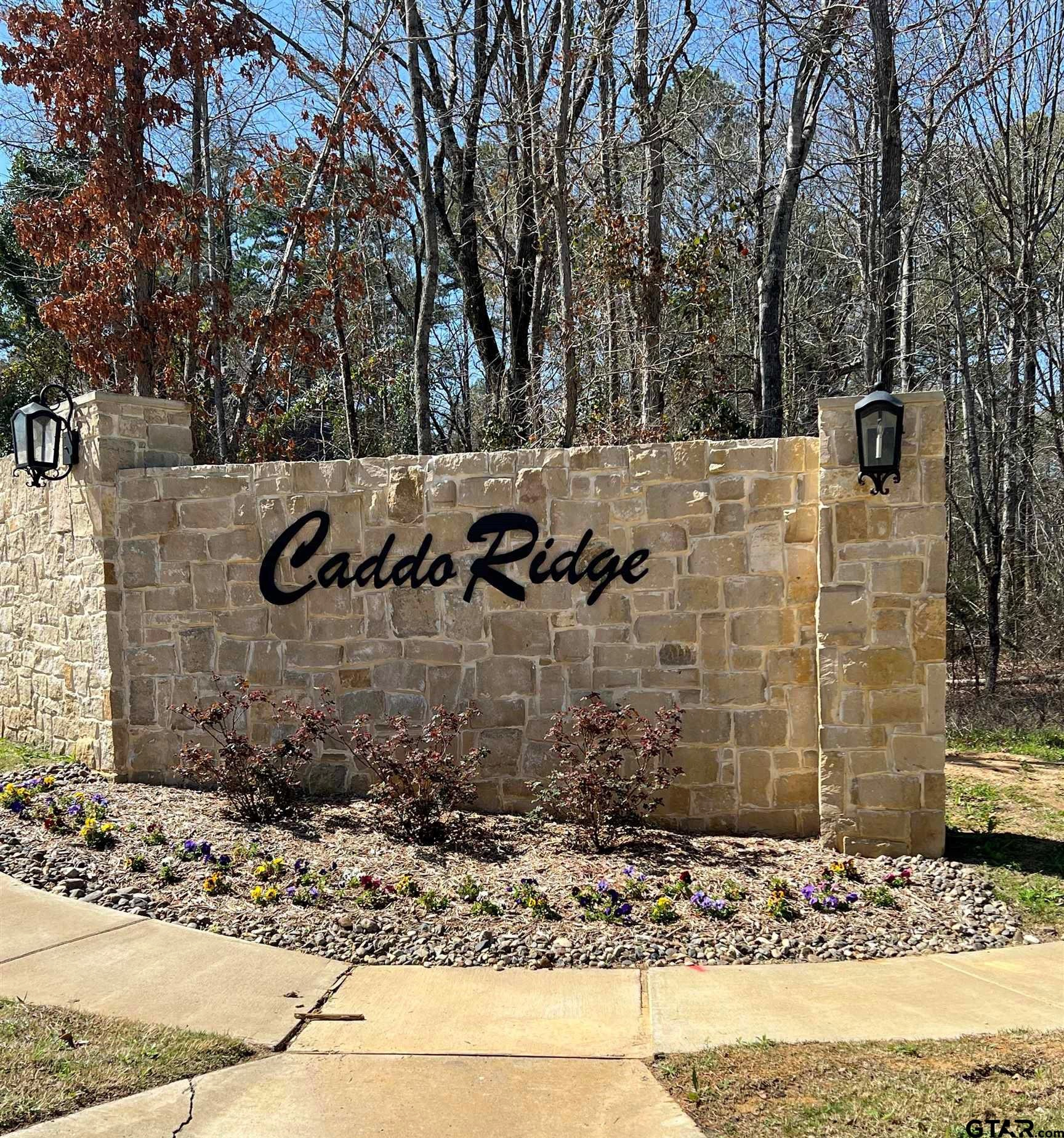 9295 Caddo Rdg Cv