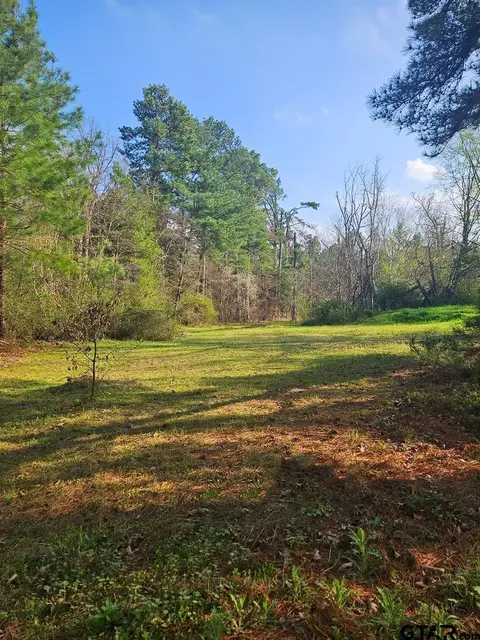 4294 Cr 106 N, Overton, TX 75684