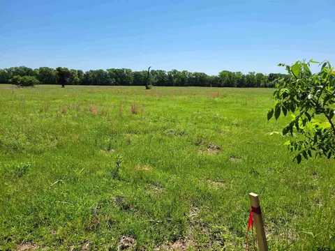 lot1 Cr 2389, Alba, TX 75410