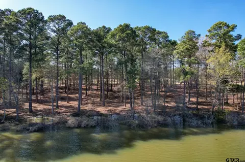 lot3 Caddo Pt, Scroggins, TX 75480