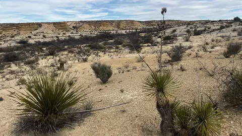 Burleson Rd. Pid 13816, Alpine, TX 79830