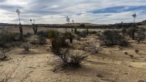Burleson Rd. Pid 13789, Alpine, TX 79830