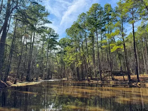 Tract 1 Cr 2217, Rusk, TX 75785