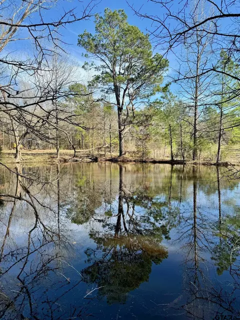 Tract 8 Cr 2217, Rusk, TX 75785