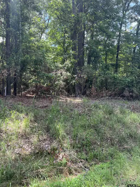 tbd Desirees Trl #LOT 18, Tatum, TX 75691
