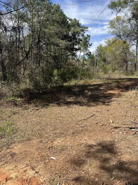tbd W Elm Creek D, Longview, TX 75605