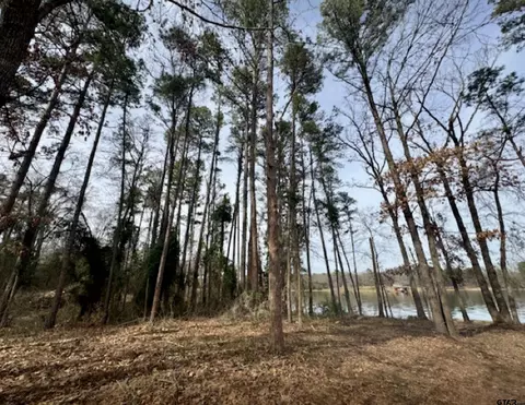 tbd Pr 2855, Pittsburg, TX 75686