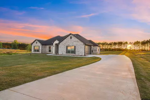 11236 Bryce Cir, Flint, TX 75762 photo 43