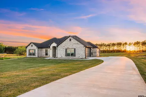11236 Bryce Cir, Flint, TX 75762 photo 3