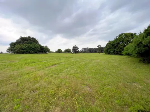 4180 Cr 1125, Tyler, TX 75704