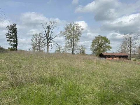 tbd Fm 2694, Shelbyville, TX 75973