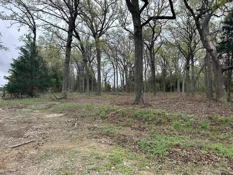 lot2 Block 2 County Road 2138, Troup, TX 75789